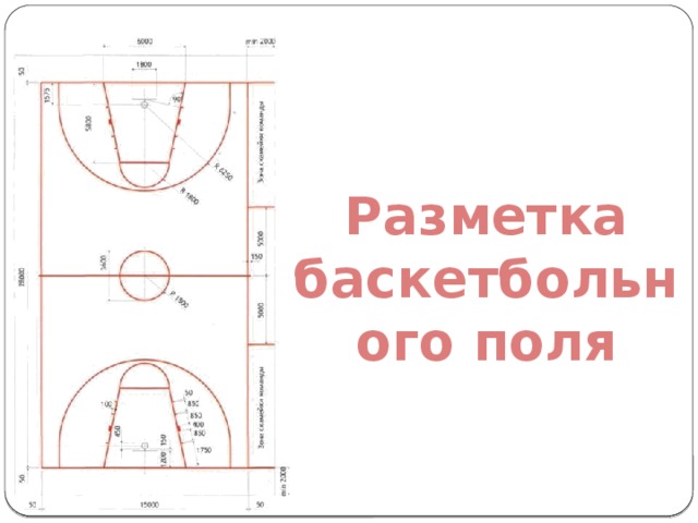 Разметка баскетбольного поля 