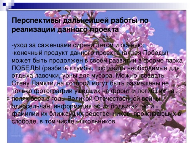 Перспективы дальнейшей работы по реализации данного проекта  -уход за саженцами сирени летом и осенью; -конечный продукт данного проекта   (аллея Победы) может быть продолжен в своём развитии в форме парка ПОБЕДЫ (разбить клумбы, поставить необходимые для отдыха лавочки, урны для мусора. Можно создать Стену Памяти, на которой могут быть размещены не только фотографии ушедших на фронт и погибших на полях боев в годы Великой Отечественной войны односельчан, информация об их подвигах, но и фамилии их ближайших родственников, проживающих в слободе, в том числе - школьников. 