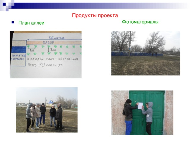 Продукты проекта Фотоматериалы План аллеи 