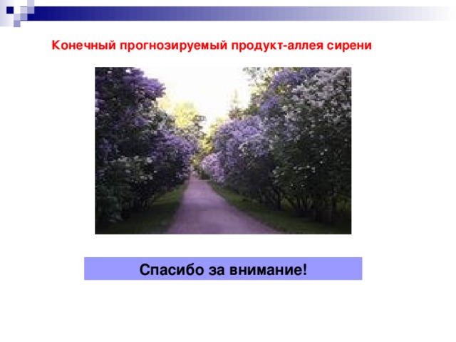 Конечный прогнозируемый продукт-аллея сирени Спасибо за внимание! 