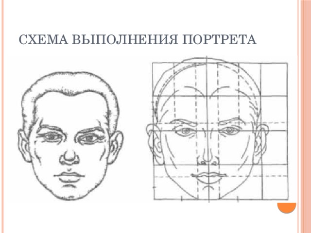Схема выполнения портрета 