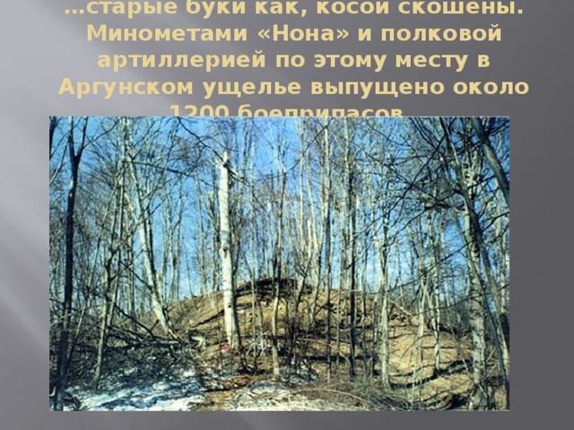 … старые буки как, косой скошены. Минометами «Нона» и полковой артиллерией по этому месту в Аргунском ущелье выпущено около 1200 боеприпасов. 
