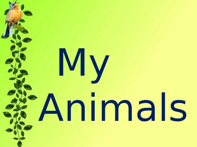 My Animals 