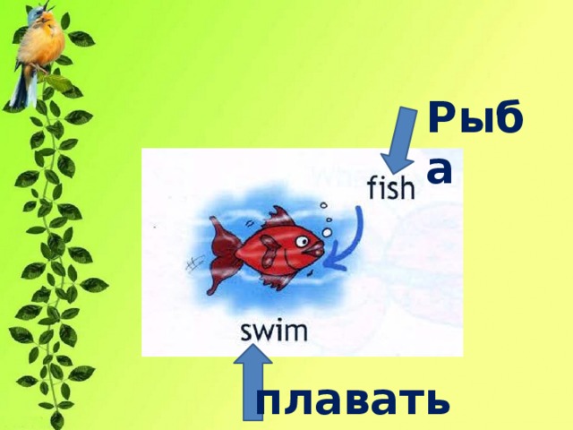 Рыба плавать 