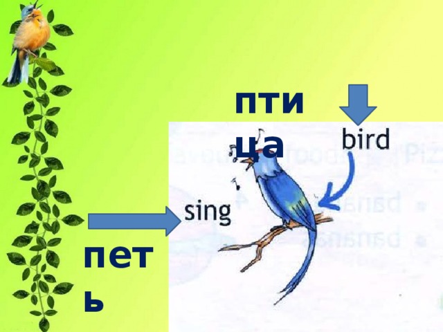 петь птица 