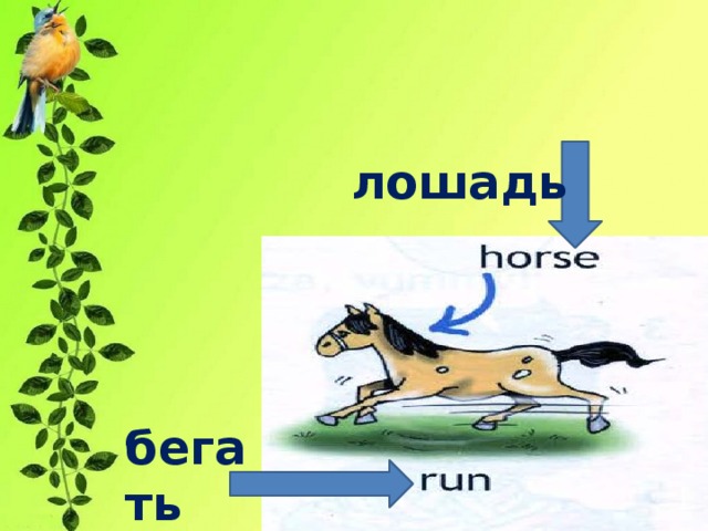 лошадь бегать 