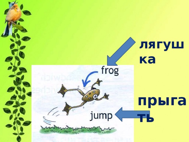 лягушка прыгать 