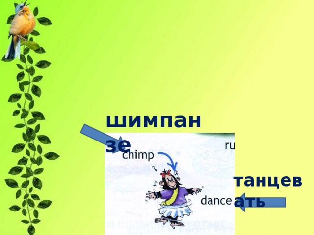 шимпанзе танцевать 