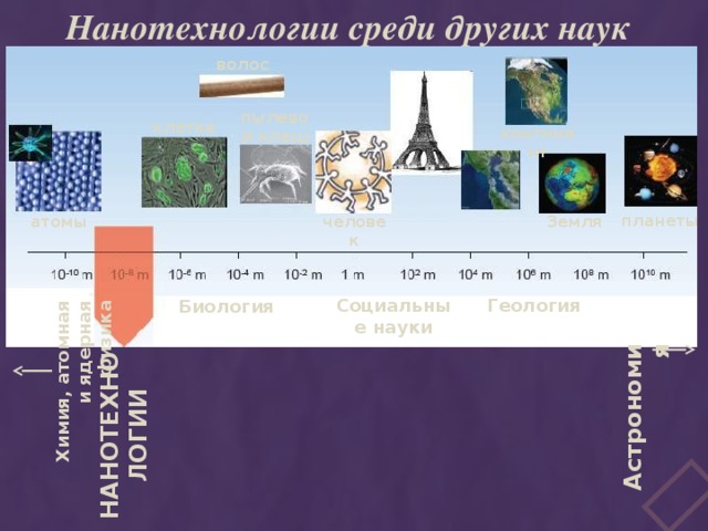 Нанотехнологии среди других наук НАНОТЕХНОЛОГИИ Химия, атомная и ядерная физика Астрономия волос пылевой клещ клетка континент планеты Земля атомы человек Социальные науки Геология Биология 19 