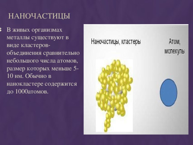 Наночастицы В живых организмах металлы существуют в виде кластеров- объединения сравнительно небольшого числа атомов, размер которых меньше 5-10 нм. Обычно в нанокластере содержится до 1000атомов. 