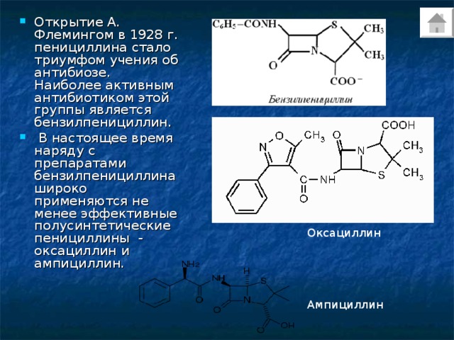 Открытие А. Флемингом в 1928 г. пенициллина стало триумфом учения об антибиозе. Наиболее активным антибиотиком этой группы является бензилпенициллин.  В настоящее время наряду с препаратами бензилпенициллина широко применяются не менее эффективные полусинтетические пенициллины - оксациллин и ампициллин. Оксациллин Ампициллин 