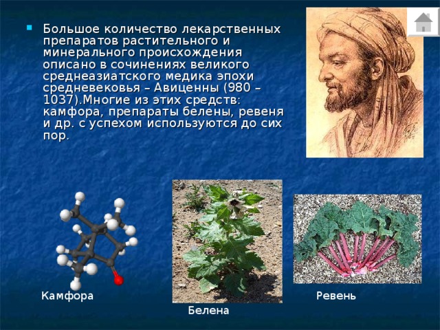 Большое количество лекарственных препаратов растительного и минерального происхождения описано в сочинениях великого среднеазиатского медика эпохи средневековья – Авиценны (980 – 1037).Многие из этих средств: камфора, препараты белены, ревеня и др. с успехом используются до сих пор. Камфора Ревень Белена 