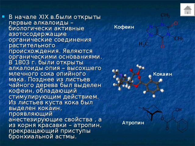В начале XIX в.были открыты первые алкалоиды – биологически активные азотосодержащие органические соединения растительного происхождения. Являются органическими основаниями. В 1803 г. были открыты алкалоиды опия – высохшего млечного сока опийного мака. Позднее из листьев чайного дерева был выделен кофеин, обладающий стимулирующим действием. Из листьев куста кока был выделен кокаин, проявляющий анестезирующие свойства , а из корня красавки – атропин, прекращающий приступы бронхиальной астмы. Кофеин Кокаин Атропин 
