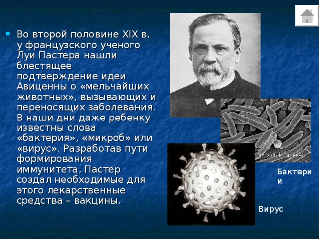 Во второй половине XIX в. у французского ученого Луи Пастера нашли блестящее подтверждение идеи Авиценны о «мельчайших животных», вызывающих и переносящих заболевания. В наши дни даже ребенку известны слова «бактерия», «микроб» или «вирус». Разработав пути формирования иммунитета, Пастер создал необходимые для этого лекарственные средства – вакцины. Бактерии Вирус 