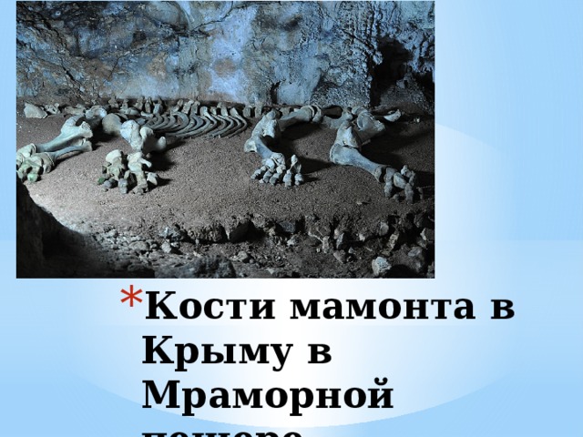 Кости мамонта в Крыму в Мраморной пещере 