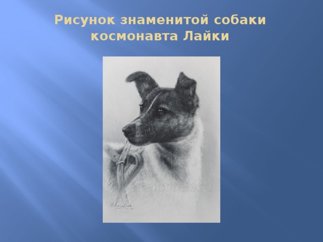 Рисунок знаменитой собаки космонавта Лайки   
