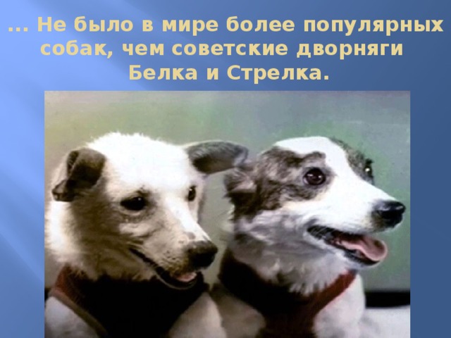 ... Не было в мире более популярных собак, чем советские дворняги   Белка и Стрелка. 