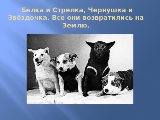  Белка и Стрелка, Чернушка и Звёздочка. Все они возвратились на Землю.   