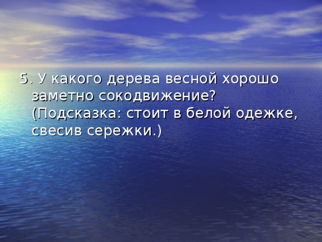 5. У какого дерева весной хорошо заметно сокодвижение? (Подсказка: стоит в белой одежке, свесив сережки.) 
