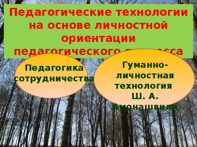 Педагогические технологии на основе личностной ориентации педагогического процесса Гуманно-личностная технология Ш. А. Амонашвили Педагогика сотрудничества 
