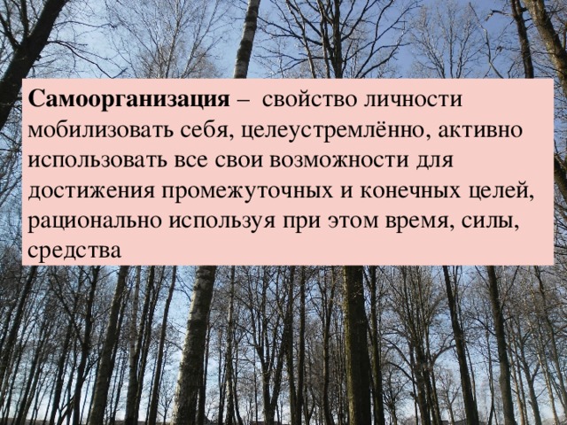 Самоорганизация – свойство личности мобилизовать себя, целеустремлённо, активно использовать все свои возможности для достижения промежуточных и конечных целей, рационально используя при этом время, силы, средства 