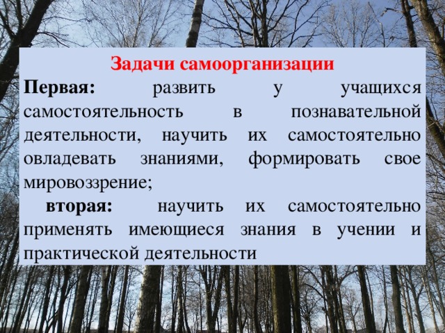 Задачи самоорганизации Первая: развить у учащихся самостоятельность в познавательной деятельности, научить их самостоятельно овладевать знаниями, формировать свое мировоззрение;  вторая: научить их самостоятельно применять имеющиеся знания в учении и практической деятельности 