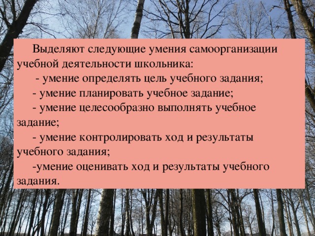 Выделяют следующие умения самоорганизации учебной деятельности школьника:  - умение определять цель учебного задания; - умение планировать учебное задание; - умение целесообразно выполнять учебное задание; - умение контролировать ход и результаты учебного задания; -умение оценивать ход и результаты учебного задания. 