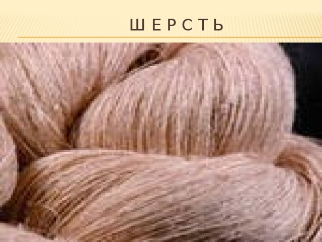  Ш е р с т ь 
