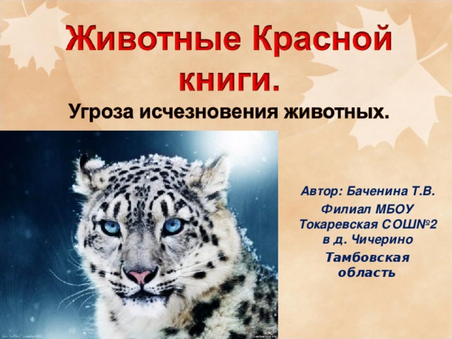 Автор: Баченина Т.В. Филиал МБОУ Токаревская СОШ№2 в д. Чичерино Тамбовская область 
