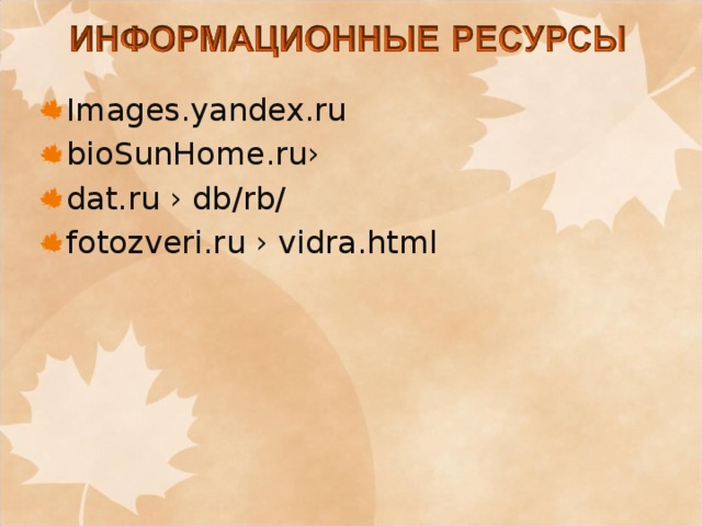 Images.yandex.ru bioSunHome.ru› dat.ru › db/rb/ fotozveri.ru › vidra.html 