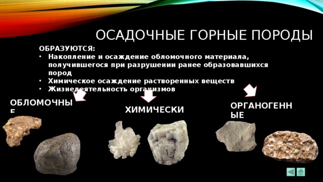 осадочные ГОРНЫЕ ПОРОДЫ ОБРАЗУЮТСЯ: Накопление и осаждение обломочного материала, получившегося при разрушении ранее образовавшихся пород Химическое осаждение растворенных веществ Жизнедеятельность организмов ОБЛОМОЧНЫЕ ОРГАНОГЕННЫЕ ХИМИЧЕСКИЕ 