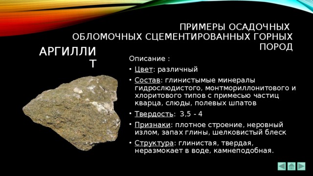 ПРИМЕРЫ ОСАДОЧНЫХ  ОБЛОМОЧНЫХ СЦЕМЕНТИРОВАННЫХ ГОРНЫХ ПОРОД АРГиЛЛИТ Описание : Цвет : различный Состав : глинистымые минералы гидрослюдистого, монтмориллонитового и хлоритового типов с примесью частиц кварца, слюды, полевых шпатов Твердость : 3,5 - 4 Признаки : плотное строение, неровный излом, запах глины, шелковистый блеск Структура : глинистая, твердая, неразмокает в воде, камнеподобная. 