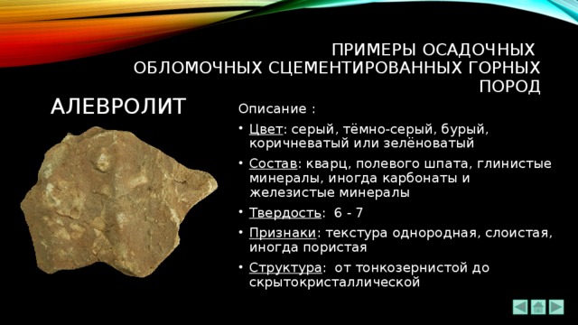 ПРИМЕРЫ ОСАДОЧНЫХ  ОБЛОМОЧНЫХ СЦЕМЕНТИРОВАННЫХ ГОРНЫХ ПОРОД АЛЕВРОЛИТ Описание : Цвет : серый, тёмно-серый, бурый, коричневатый или зелёноватый Состав : кварц, полевого шпата, глинистые минералы, иногда карбонаты и железистые минералы Твердость : 6 - 7 Признаки : текстура однородная, слоистая, иногда пористая Структура : от тонкозернистой до скрытокристаллической 