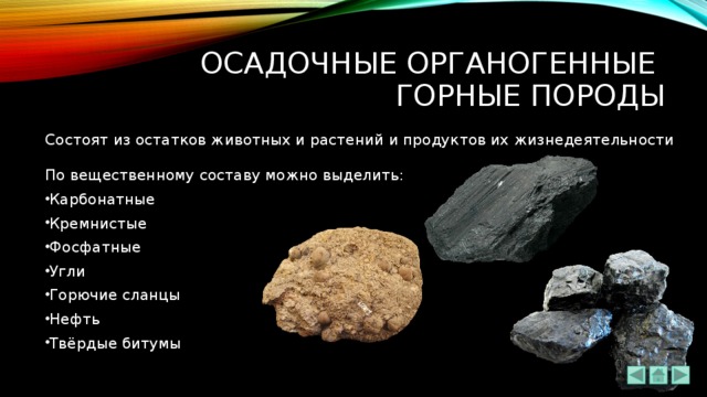 Осадочные ОРГАНОГЕННЫЕ  ГОРНЫЕ ПОРОДЫ Состоят из остатков животных и растений и продуктов их жизнедеятельности   По вещественному составу можно выделить: Карбонатные Кремнистые Фосфатные Угли Горючие сланцы Нефть Твёрдые битумы  