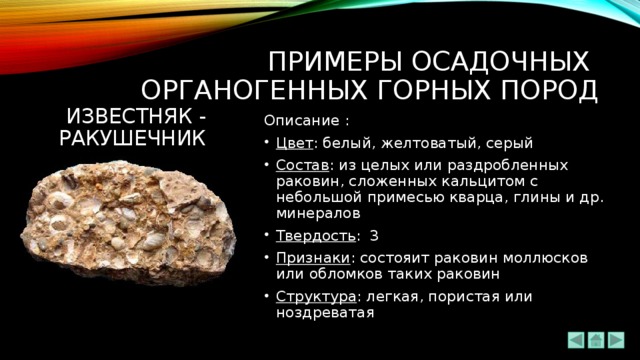 ПРИМЕРЫ ОСАДОЧНЫХ  ОРГАНОГЕННЫХ ГОРНЫХ ПОРОД ИЗВЕСТНЯК - ракушечник Описание : Цвет : белый, желтоватый, серый  Состав : из целых или раздробленных раковин, сложенных кальцитом с небольшой примесью кварца, глины и др. минералов Твердость : 3 Признаки : состояит раковин моллюсков или обломков таких раковин Структура : легкая, пористая или ноздреватая 