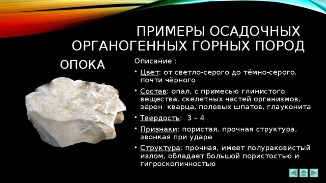 ПРИМЕРЫ ОСАДОЧНЫХ  ОРГАНОГЕННЫХ ГОРНЫХ ПОРОД ОПОКА Описание : Цвет : от светло-серого до тёмно-серого, почти чёрного Состав : опал, с примесью глинистого вещества, скелетных частей организмов, зёрен кварца, полевых шпатов, глауконита Твердость : 3 – 4 Признаки : пористая, прочная структура, звонкая при ударе Структура : прочная, имеет полураковистый излом, обладает большой пористостью и гигроскопичностью 