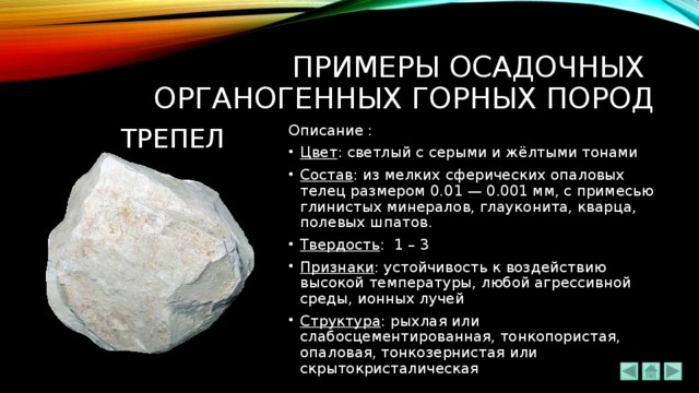 ПРИМЕРЫ ОСАДОЧНЫХ  ОРГАНОГЕННЫХ ГОРНЫХ ПОРОД ТРЕПЕЛ Описание : Цвет : светлый с серыми и жёлтыми тонами Состав : из мелких сферических опаловых телец размером 0.01 — 0.001 мм, с примесью глинистых минералов, глауконита, кварца, полевых шпатов. Твердость : 1 – 3 Признаки : устойчивость к воздействию высокой температуры, любой агрессивной среды, ионных лучей Структура : рыхлая или слабосцементированная, тонкопористая, опаловая, тонкозернистая или скрытокристалическая 