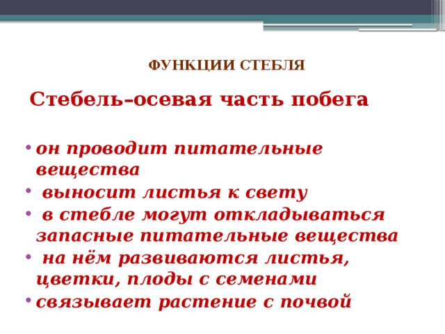  ФУНКЦИИ СТЕБЛЯ    Стебель–осевая часть побега  он проводит питательные вещества  выносит листья к свету  в стебле могут откладываться запасные питательные вещества  на нём развиваются листья, цветки, плоды с семенами связывает растение с почвой  
