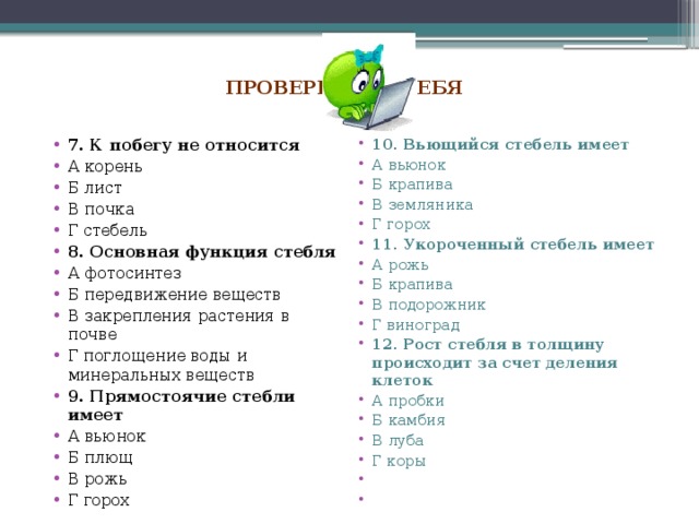  Проверь себя   7. К побегу не относится А корень Б лист В почка Г стебель 8. Основная функция стебля А фотосинтез Б передвижение веществ В закрепления растения в почве Г поглощение воды и минеральных веществ 9. Прямостоячие стебли имеет А вьюнок Б плющ В рожь Г горох 10. Вьющийся стебель имеет А вьюнок Б крапива В земляника Г горох 11. Укороченный стебель имеет А рожь Б крапива В подорожник Г виноград 12. Рост стебля в толщину происходит за счет деления клеток А пробки Б камбия В луба Г коры     