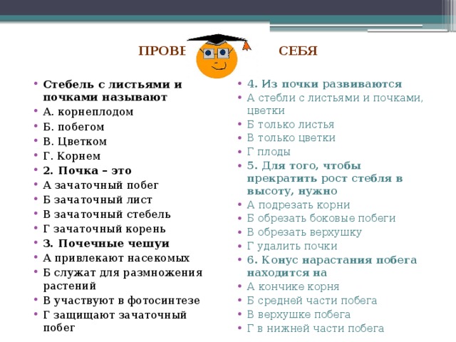  Проверь себя   Стебель с листьями и почками называют А. корнеплодом Б. побегом В. Цветком Г. Корнем 2. Почка – это А зачаточный побег Б зачаточный лист В зачаточный стебель Г зачаточный корень 3. Почечные чешуи А привлекают насекомых Б служат для размножения растений В участвуют в фотосинтезе Г защищают зачаточный побег 4. Из почки развиваются А стебли с листьями и почками, цветки Б только листья В только цветки Г плоды 5. Для того, чтобы прекратить рост стебля в высоту, нужно А подрезать корни Б обрезать боковые побеги В обрезать верхушку Г удалить почки 6. Конус нарастания побега находится на А кончике корня Б средней части побега В верхушке побега Г в нижней части побега 