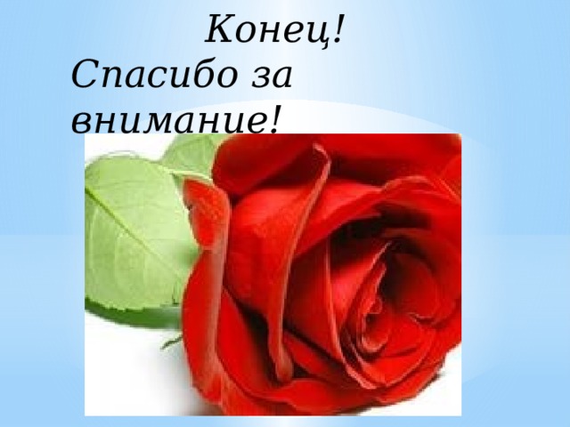 Конец! Спасибо за внимание! 