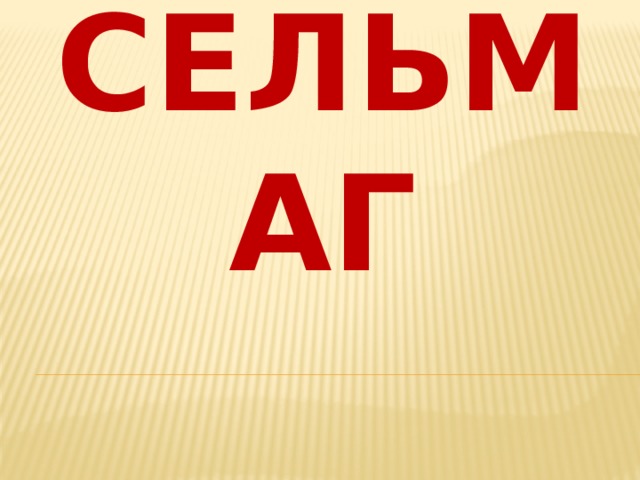 СЕЛЬМАГ 