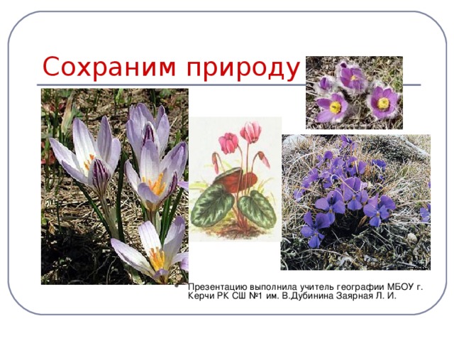 Co храним природу Крыма Презентацию выполнила учитель географии МБОУ г. Керчи РК СШ №1 им. В.Дубинина Заярная Л. И. 