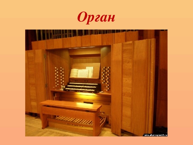 Орган 