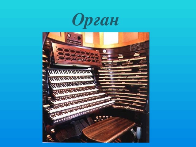 Орган 