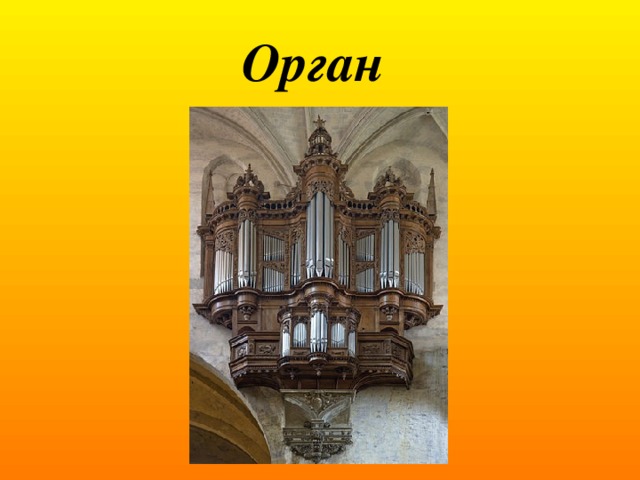 Орган 