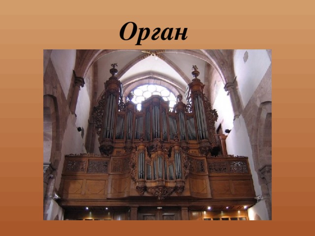 Орган 