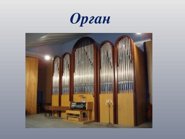 Орган 