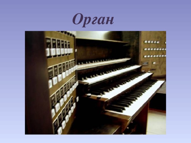 Орган 