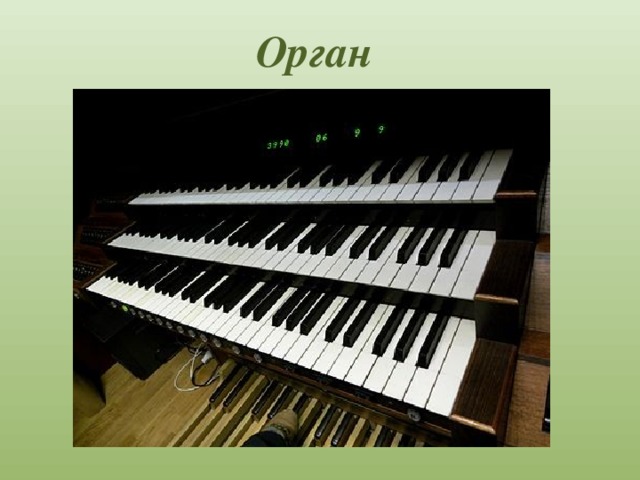 Орган 